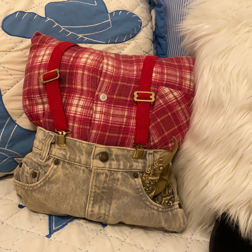 Western / Country novelty pillow